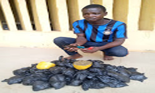 Police arrest 29 yr-old India hemp merchant in Lagos, recover bags of substance, arm, ammunition