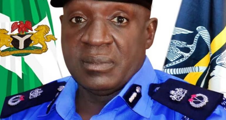 CP Ali Dares IPOB On Sit At Home Order, Assure Deltans Of Adequate Security